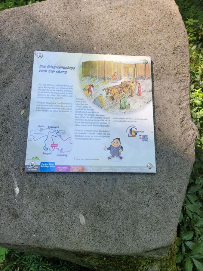 Willa Waldhaus Nearby Nuerburgring Bongard Zewnętrze zdjęcie